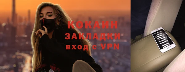 хмурый Бородино