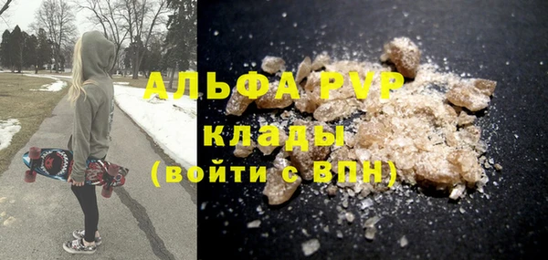 хмурый Бородино