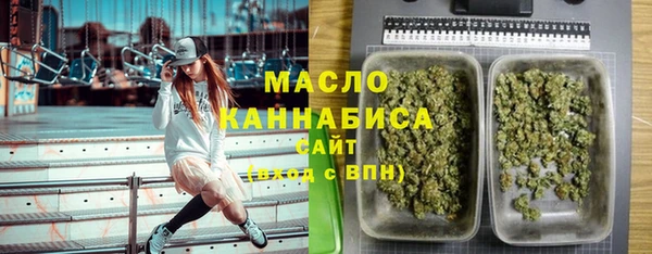 хмурый Бородино