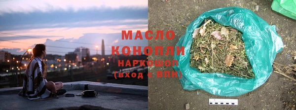 хмурый Бородино