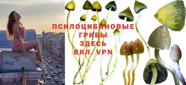 синтетический гашиш Бронницы