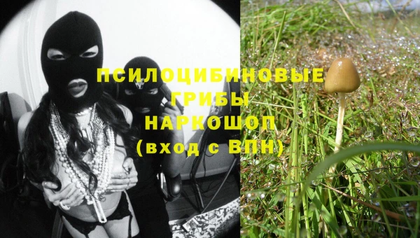 хмурый Бородино