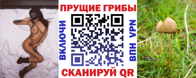 Галлюциногенные грибы мицелий  Саяногорск 